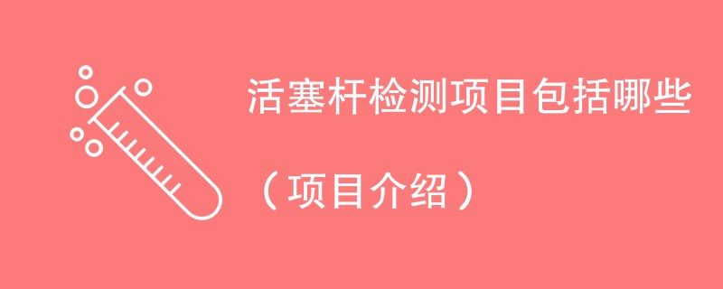 活塞杆检测项目包括哪些（项目介绍）