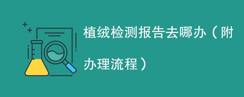 植绒检测报告去哪办（附办理流程）