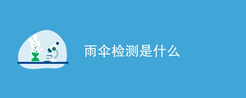 雨伞检测是什么