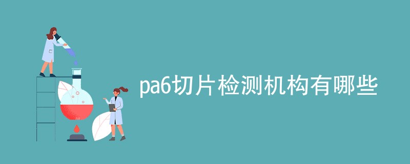 pa6切片检测机构有哪些