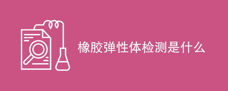 橡胶弹性体检测是什么